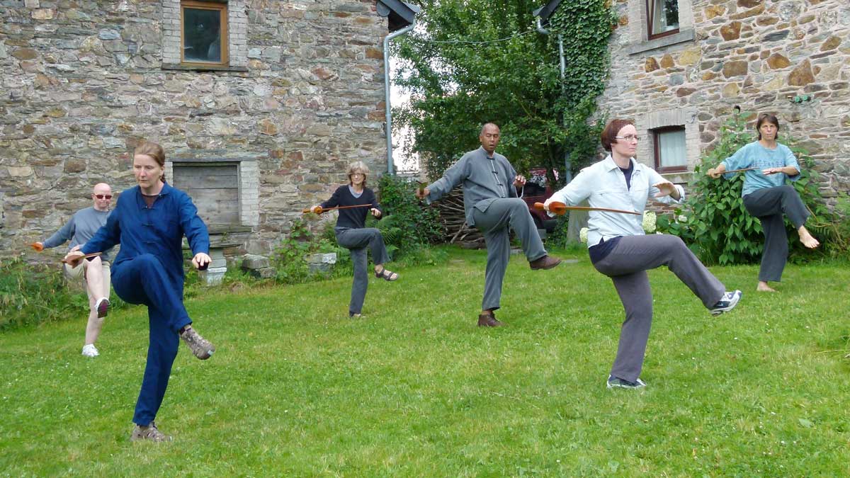 Stage Tai Chi Chuan Qi Gong Feldenkrais