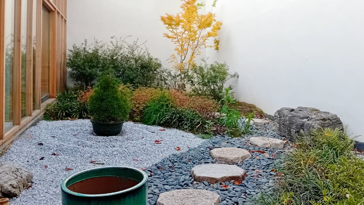 Cours de Tai Chi au dojo